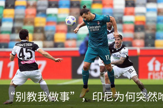 “别教我做事”，印尼为何突然呛声新加坡？